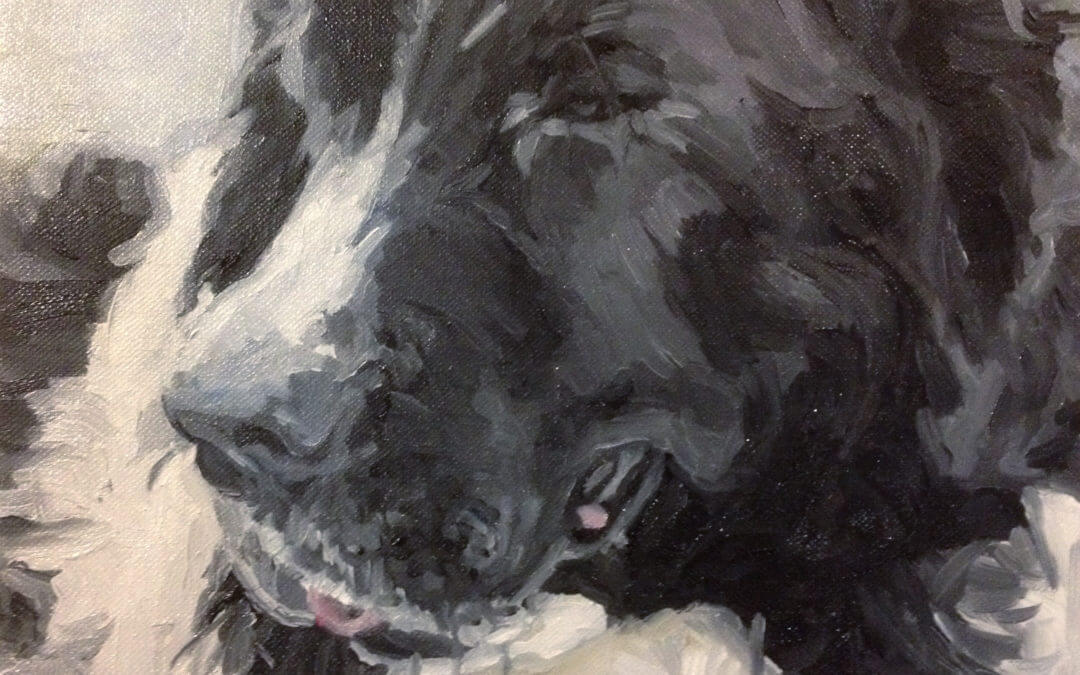 Newfoundlander Dog (Oil on Canvas)