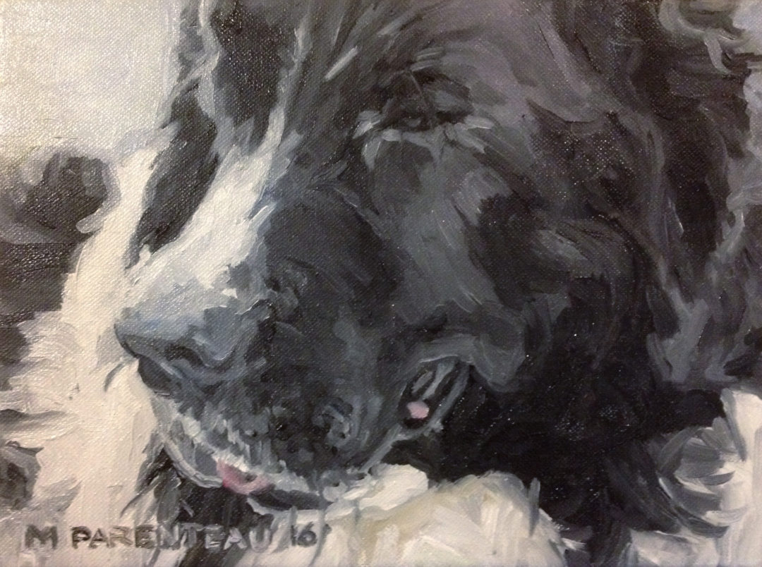 Newfoundlander Dog (Oil on Canvas)