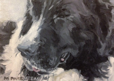 Newfoundlander Dog (Oil on Canvas)